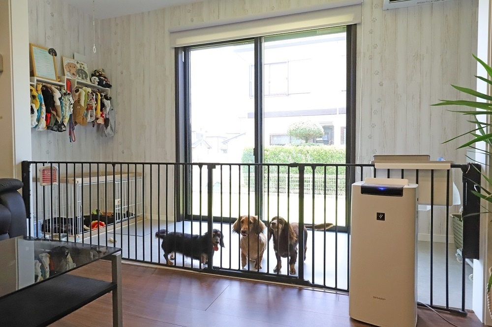 ドッグランを備えたのびのびと快適に過ごせる家