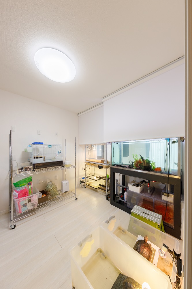 本格シアタールームとミニアクアリウムのある平屋