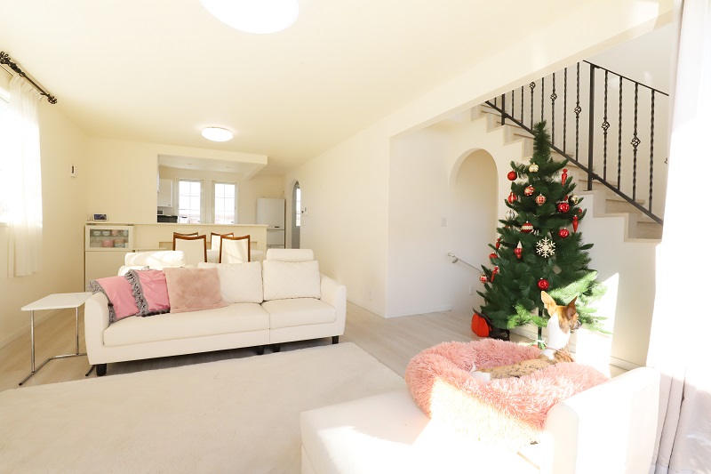 耐震性と採光にこだわったペットサロン併用の住まい