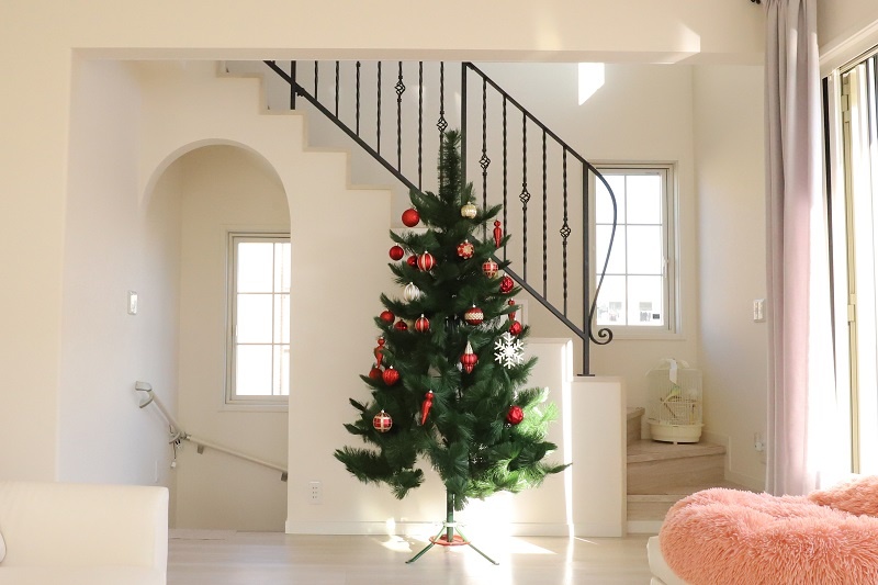 耐震性と採光にこだわったペットサロン併用の住まい