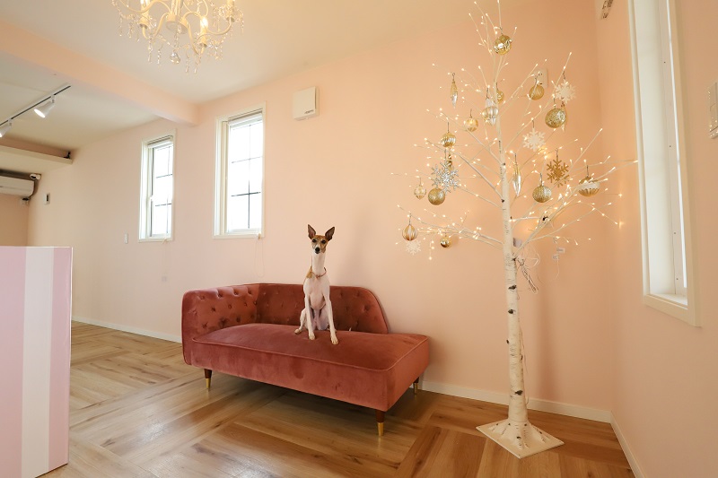 耐震性と採光にこだわったペットサロン併用の住まい