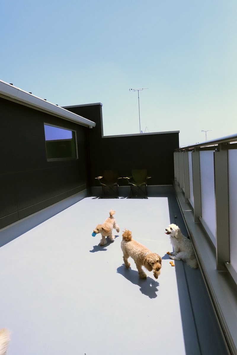 愛犬たちとの快適な暮らしを実現共に安心してくつろげる家