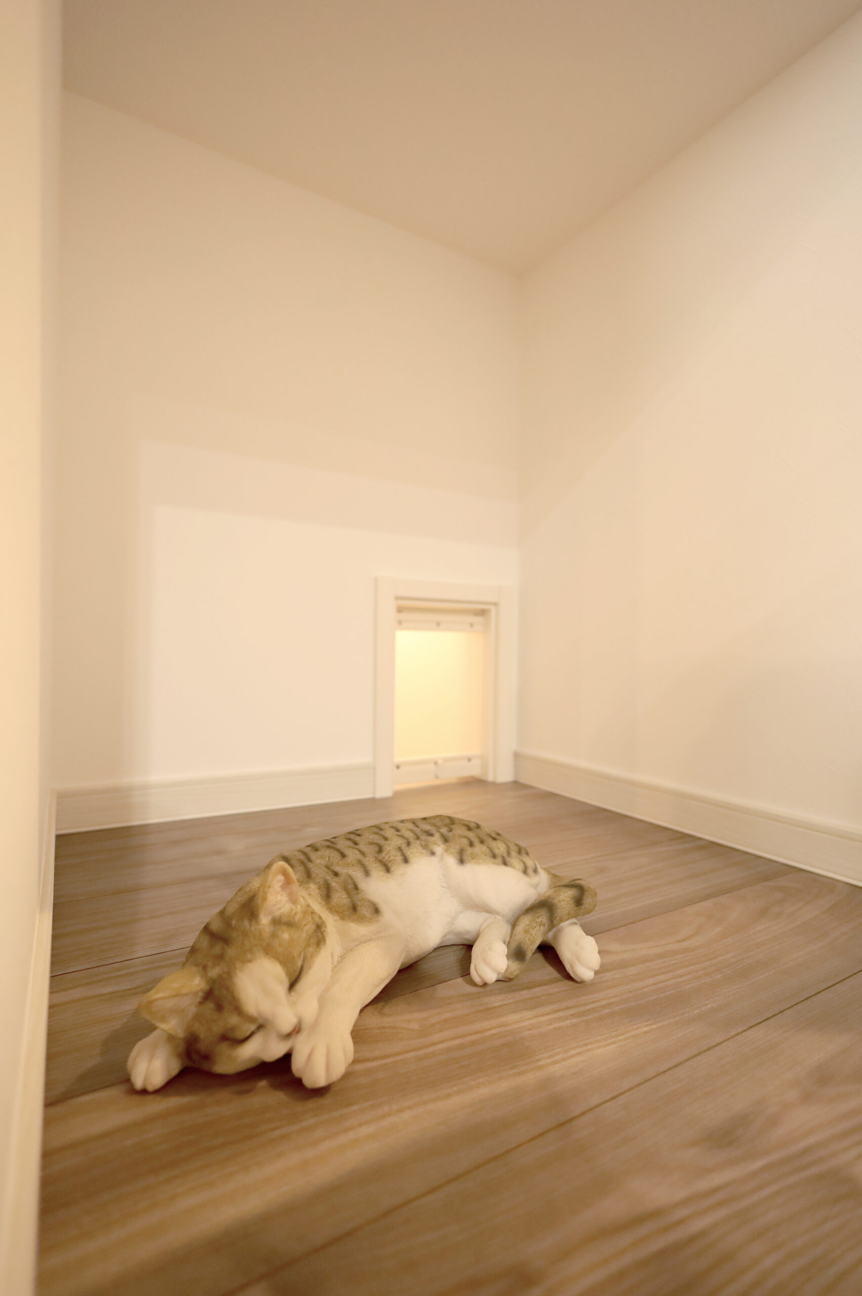 平屋で叶える、夢の猫ライフ。