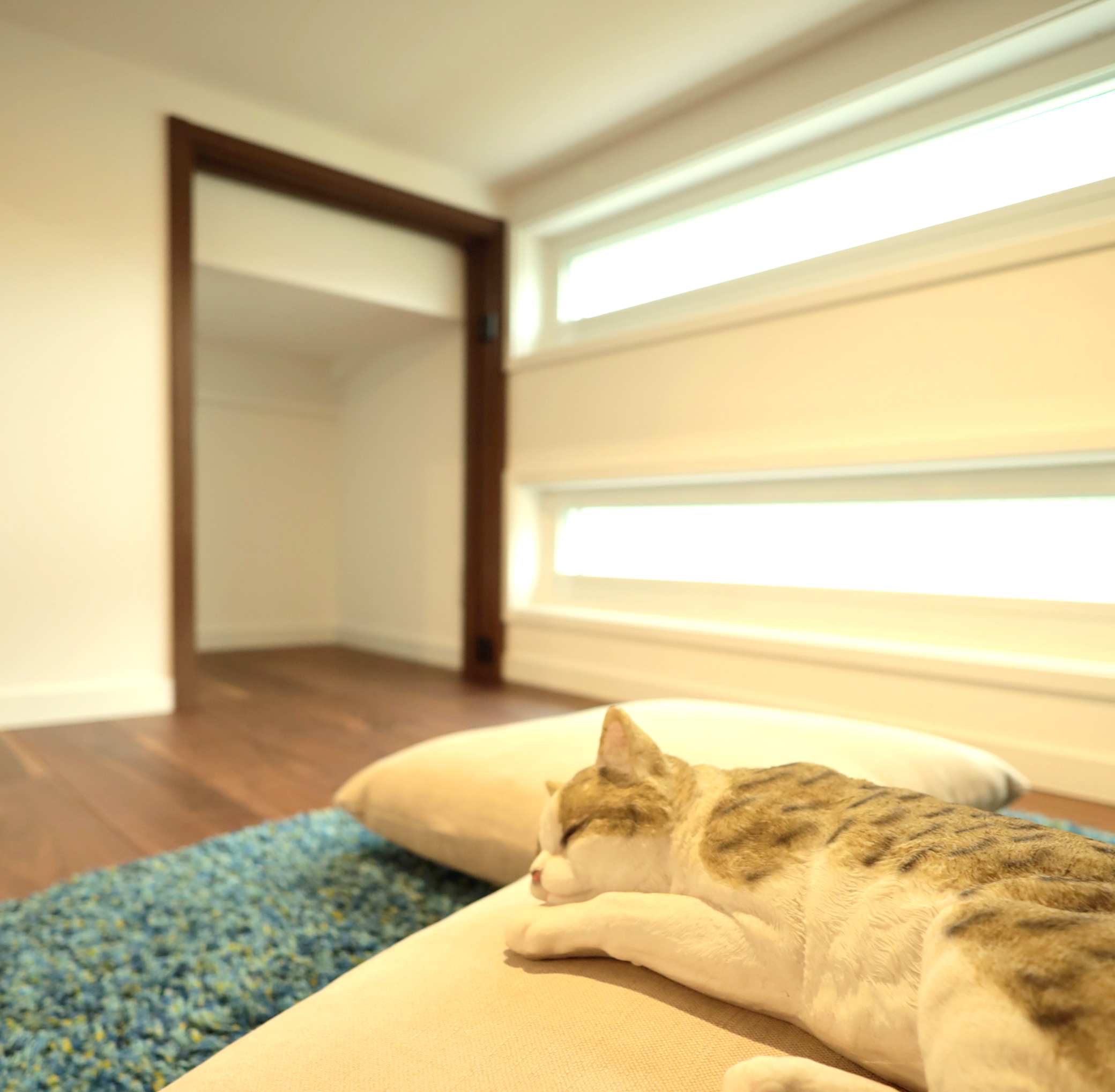 キャットウォークは、空の散歩道。